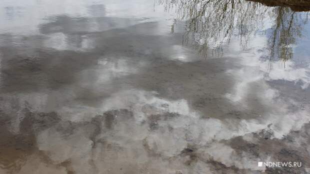 Вода в Туре и Нице поднялась больше чем на 4 метра