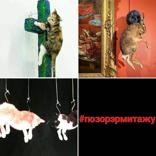 Выставка