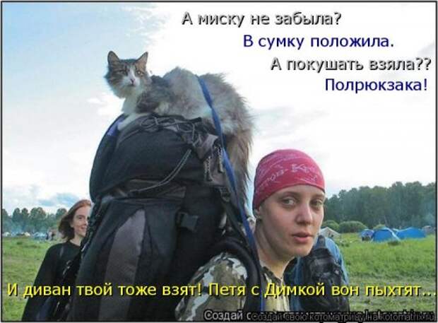 Новая котоматрица на Бугаге (44 фото)