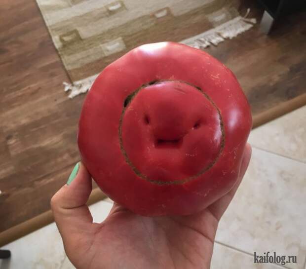 Приколы (55 фото)