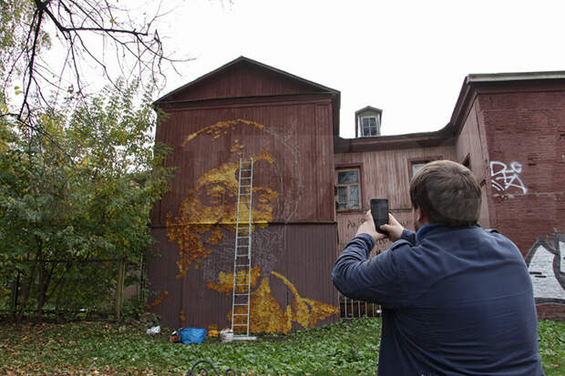 В Перми появился огромный портрет Юрия Шевчука из осенних листьев  Шевчук, листья, пермь