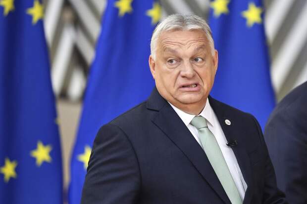 Профессор Дизен: проигрыш Орбана — не лучший день для Европы и мира