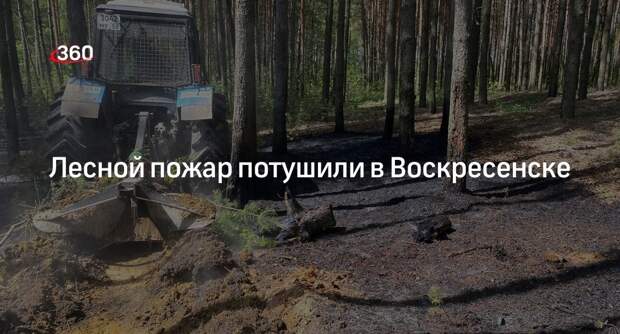 Лесной пожар потушили в Воскресенске