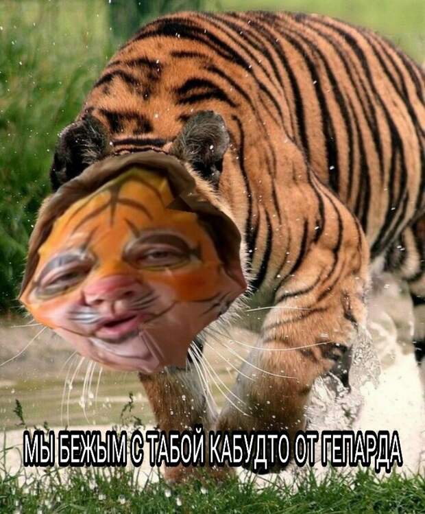 Мама отличника - мемы шпротная диета девачки юлик