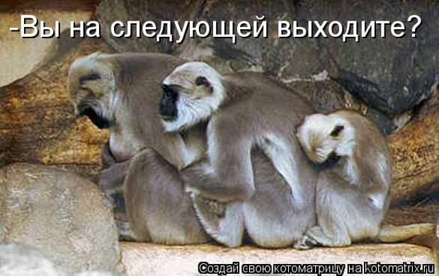 Вы на следующей выходите? Вы на следующей выходите?