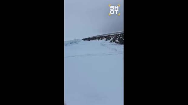 Video: ФЫАХЖФЫАЖХФЫЖХ.mp4