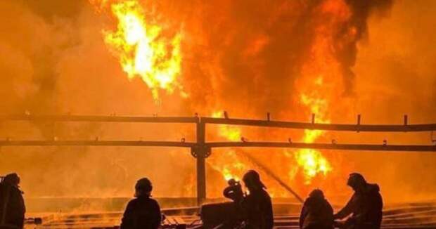 Больше тысячи погибших ВСУ: вся Украина в шоке