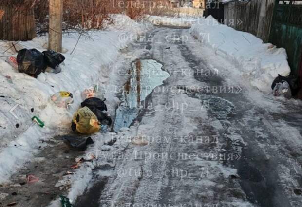 Туляки пожаловались что на улицах Верещагина и Коксовой не вывозят мусор
