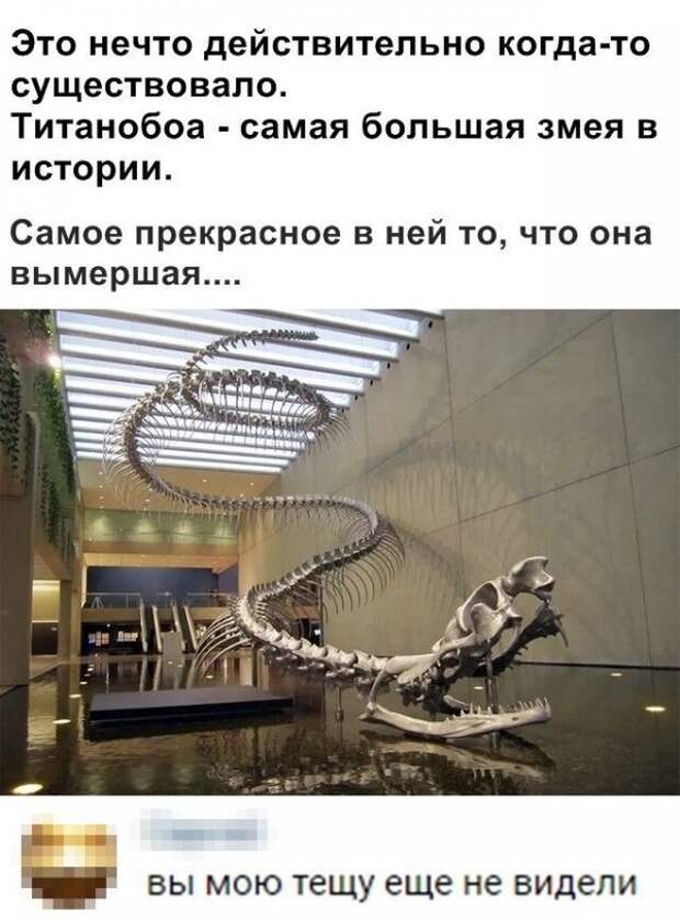 Скрины из социальных сетей