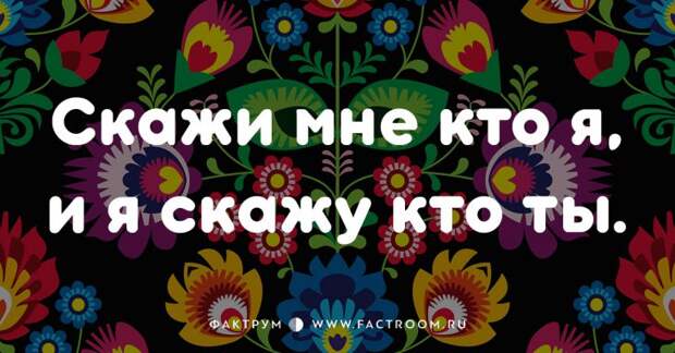 20 смешных современных поговорок, которых вы ещё не слышали 20 смешных современных поговорок, которых вы ещё не слышали