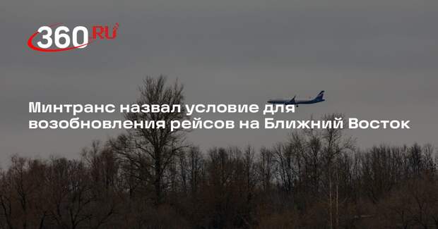 Минтранс: рейсы на Ближний Восток возобновят с учетом безопасности