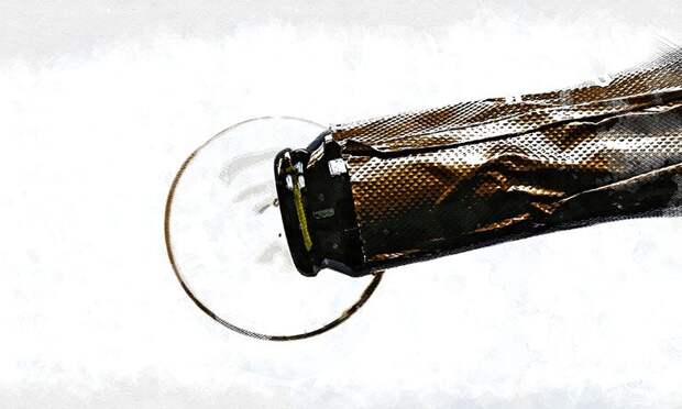 Орловцам напомнили о запрете распития шампанского возле ЗАГСа