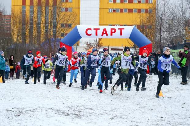 Кросс. Фото: Центр физкультуры и спорта СЗАО