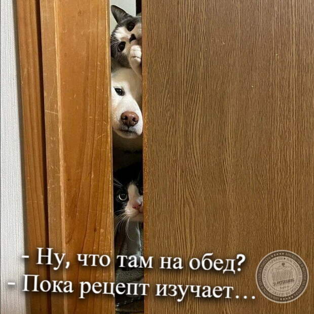 Что на обед?