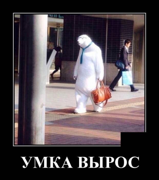 Демотиваторы (30 фото)