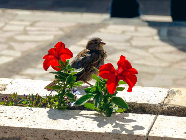 Фотолайфхак: Акцент
