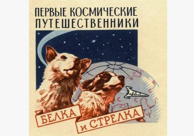 19 августа исполнилось 65 лет со дня полета в космос Белки и Стрелки