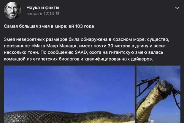 И главное пишет Наука и факты...
