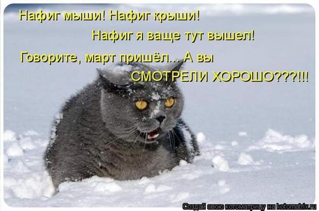 Котоматрицы