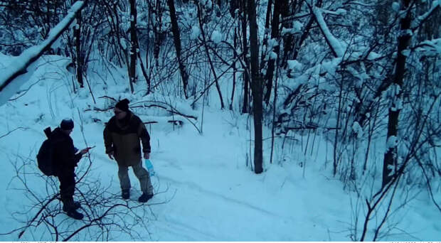 Браконьеры вышли на охоту в петербургские леса с собаками и ружьем