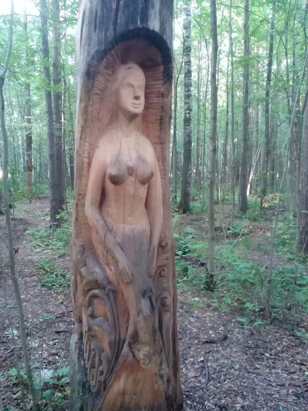 Не перевелись еще умельцы на Руси... Санкт-Петербург, дерево, скульптура, идолы, парк, старец, Искусство, длиннопост