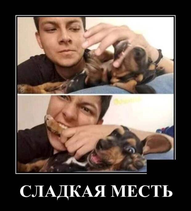 Демотиваторы (30 фото)