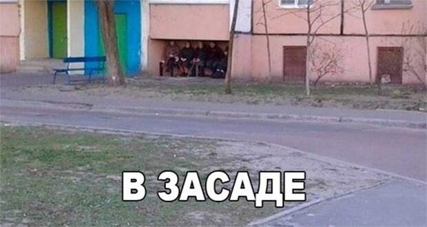 Веселые картинки с надписями для веселья (11 фото) Веселые картинки с надписями для веселья (11 фото)
