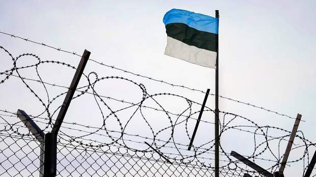 В разведке Эстонии заявили об отсутствии у России планов вторгаться в Прибалтику