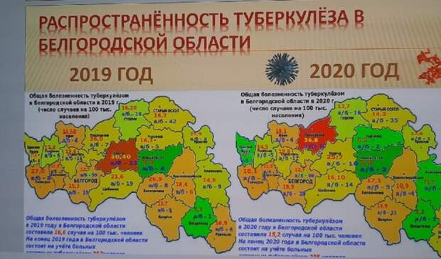 Публичная кадастровая карта прохоровского района белгородской области