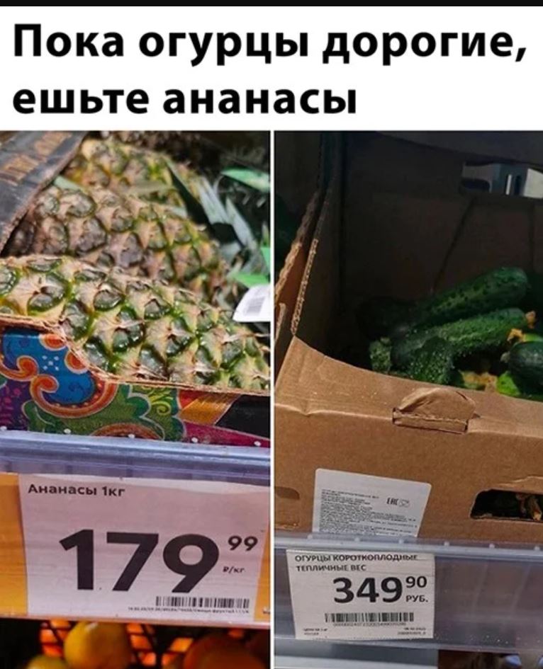 картинки с приколами для поднятия настроения (6)