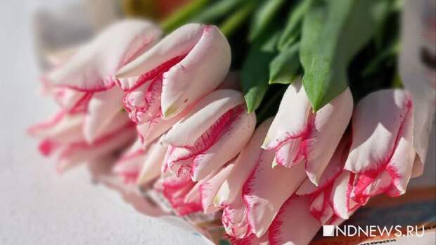 В список худших подарков на 8 Марта вошли книги и абонементы в фитнес-клуб