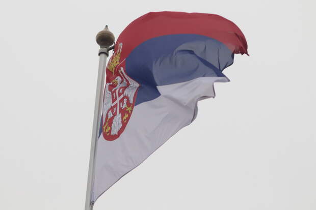 В Сербии назвали страну производства найденной у газопровода взрывчатки