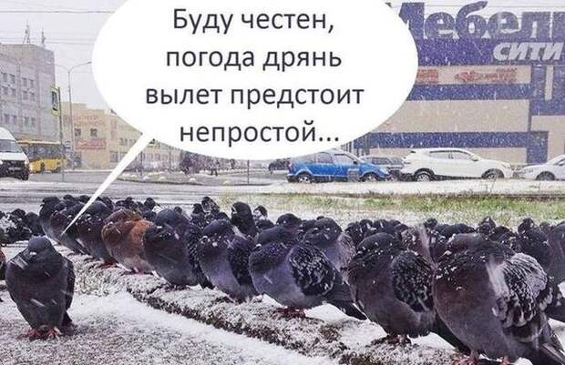 Прикольные картинки Прикольные картинки