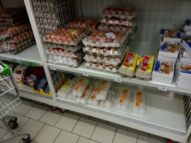 Фото открытых источников     В магазине яйца на прилавке, ...пока