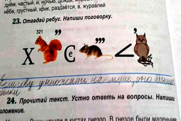 Всем поговоркам поговорка! 18 эпичных умозаключений, найденных на страницах школьных тетрадей