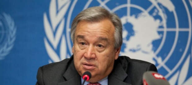 ООН: принцип самоопределения народов неприменим к Крыму и Донбассу в отличие от Гренландии