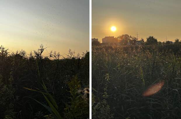 Фотолайфхак: Как правильно поймать закат