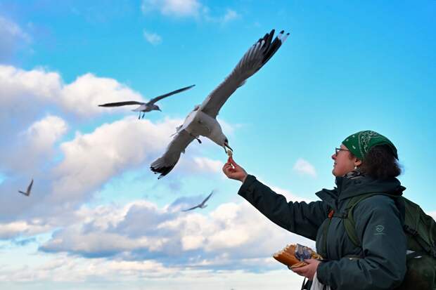 Народные приметы на 29 декабря: Простите обидчиков и обязательно покормите птиц