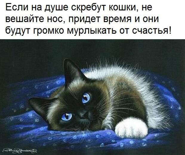 Островок позитива к Новому году картинки, новый год, позитив