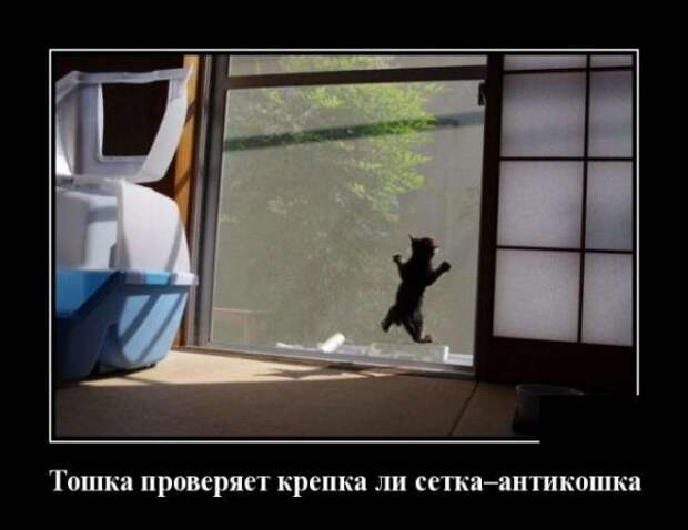 demotivatory-demotivator-smeshnye-demotivatory-demotivator-so-smyslom