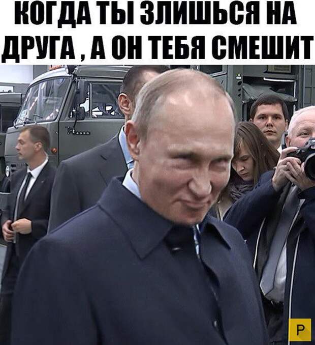 Смешные фото с надписями и цитатами часть 1 за сентябрь 2016 (49 фото)