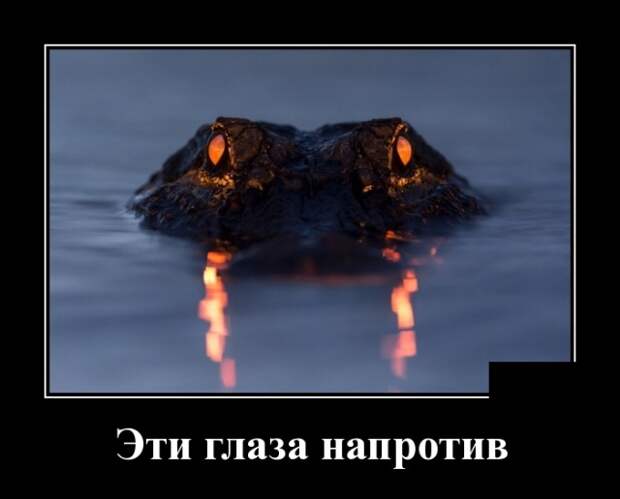 Демотиваторы (30 фото)