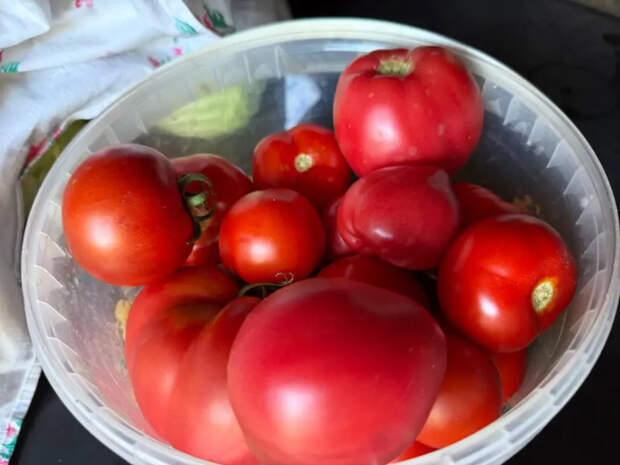 Заправляю лунку по хитрому рецепту один раз в мае, и всё лето к помидорам не подхожу: плоды прут мясистые, а подкормки не нужны