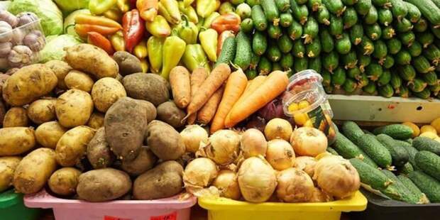 Зимний ценовой рекорд: огурцы догнали свинину, но качество оставляет желать лучшего