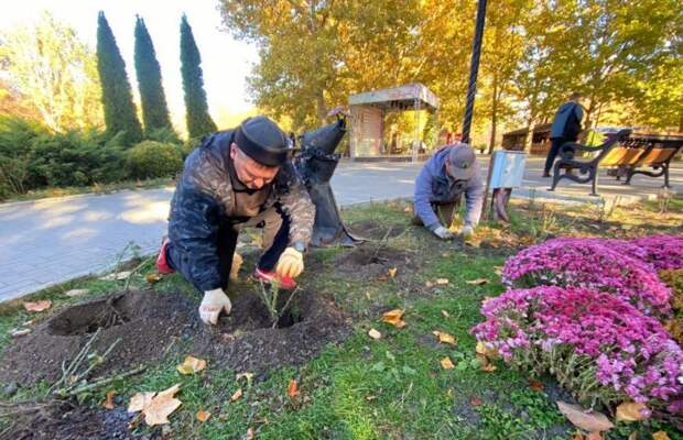 В Гагаринском парке Симферополя высадили 100 кустов роз