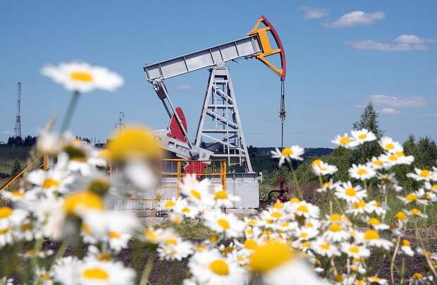 Россия осталась крупнейшим поставщиком нефти для двух стран БРИКС