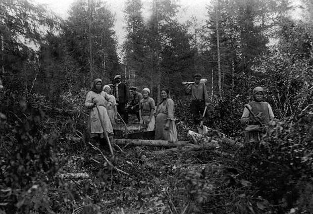 Поселенцы на заготовке дров