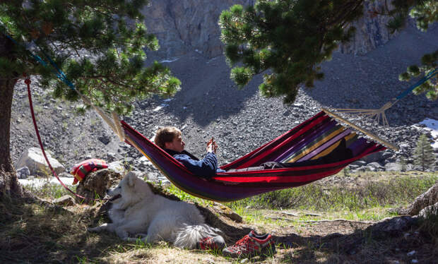 Россиянам назвали лучшие направления для отдыха с питомцем