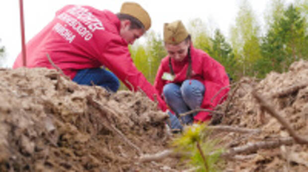 В Ивановской области за шесть лет проведения  Международной акции «Сад Памяти» посажено свыше 1,3 млн деревьев