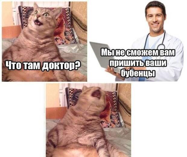 Прикольные картинки картинки из сети, прикол, юмор